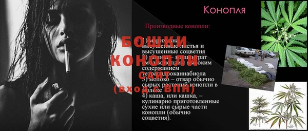 МДПВ Кодинск