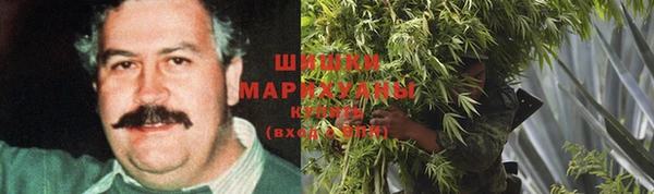 гашик Горно-Алтайск
