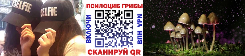 Псилоцибиновые грибы GOLDEN TEACHER Клин
