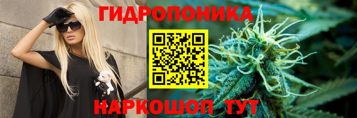 Клин  Бошки марихуана VHQ  Бошки Шишки семена  Бошки Шишки THC 21%  Вход с VPN 